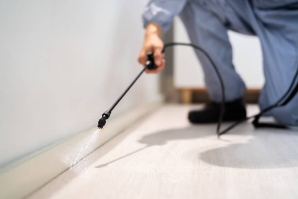 Licensed Pest Control service in Rolesville, NC - Show Me Pest Control
